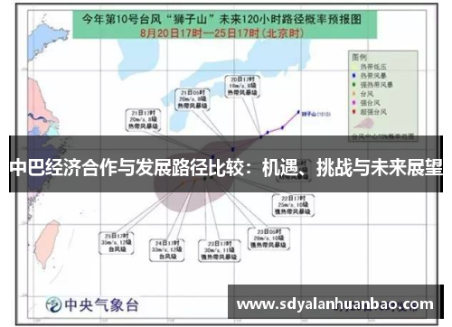 中巴经济合作与发展路径比较：机遇、挑战与未来展望